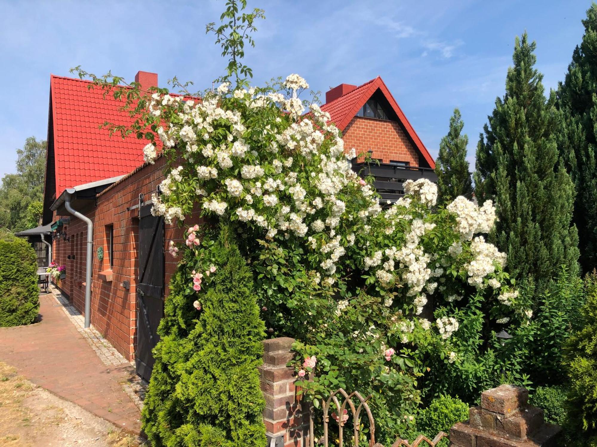 Landhaus Schlunt Wustrow  Zewnętrze zdjęcie